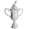 Scottish Cup Official Trophy Replica (100mm)